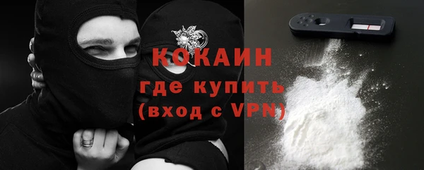 твердый Алзамай