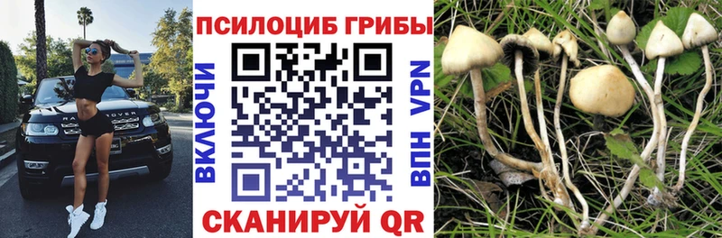 Галлюциногенные грибы мицелий  Одинцово 